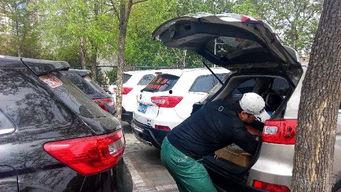 318吃瓜娱乐车友会